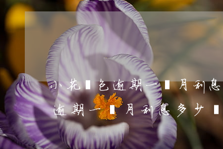小花錢包逾期一個月利息多少錢-小花錢包逾期一個月利息多少錢啊