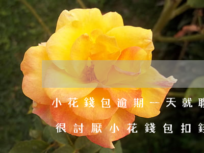 小花錢包逾期一天就聯(lián)系親朋,很討厭（小花錢包扣錢了還逾期）