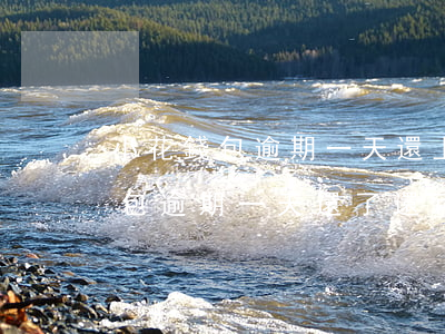 小花錢包逾期一天還上了還能借嗎-小花錢包逾期一天還了還可以再借出來嗎