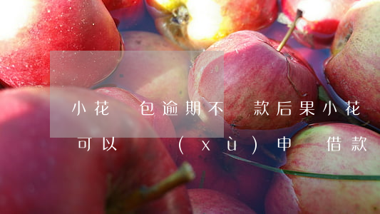 小花錢包逾期不還款后果(小花錢包逾期了還可以繼續(xù)申請借款嗎)