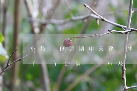 小花錢包逾期中天律師事務(wù)所發(fā)短信來-小花錢包方明律師
