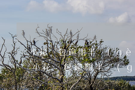 小花錢包逾期半個(gè)月還會上門嗎-小花錢包逾期半個(gè)月還會上門嗎是真的嗎