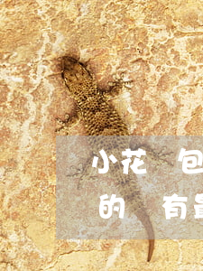小花錢包逾期多久被起訴(有被小花錢包起訴的沒有最后是怎么還的)