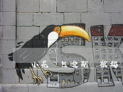 小花錢包逾期會被起訴嗎