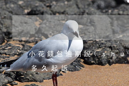 小花錢包逾期說(shuō)立案(小花錢包多久起訴)