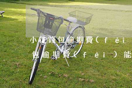 小花錢包逾期費(fèi)能減免嗎(小花錢包逾期費(fèi)能減免嗎)