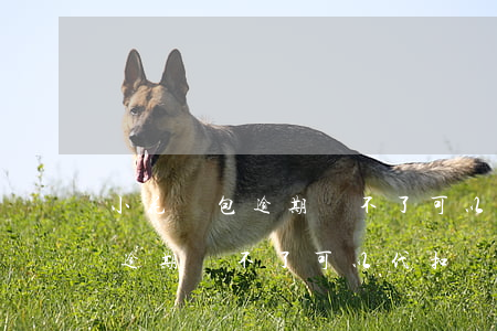 小花錢包逾期還不了可以代扣嗎-小花錢包逾期還不了可以代扣嗎怎么辦