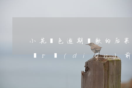 小花錢包逾期還款的后果(小花錢包逾期一天 讓5點(diǎn)前還進(jìn)去不然就開始催收)