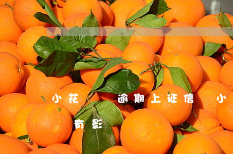 小花錢唄逾期上征信嗎(小花錢唄逾期上征信嗎有影響嗎)