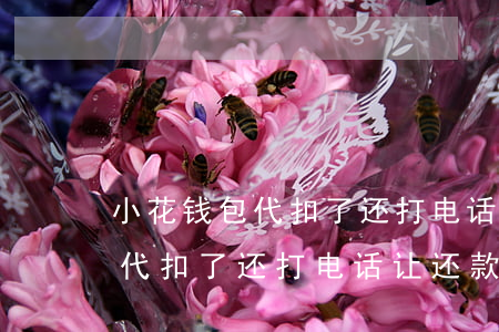 小花钱包代扣了还打电话让还款-小花钱包代扣了还打电话让还款是真的吗