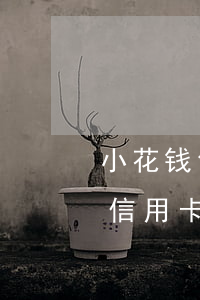 小花钱包信用卡还款一周没到账-小花钱包信用卡还款一周没到账怎么回事