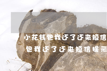 小花钱包我还了还来短信提示还款-小花钱包我还了还来短信提示还款是真的吗