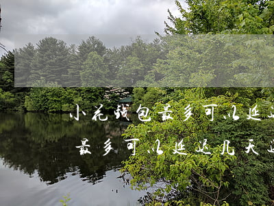 小花钱包最多可以延迟几天还款-小花钱包最多可以延迟几天还款吗