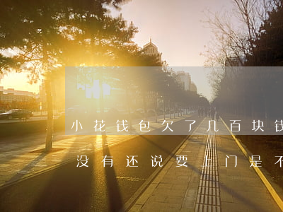 小花钱包欠了几百块钱不还(欠小花钱包的钱没有还,说要上门是不是真的)