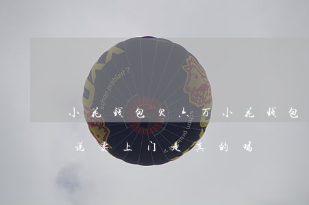 小花钱包欠六万(小花钱包欠几千没还发短信说要上门是真的吗)