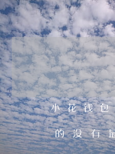 小花钱包欠多少钱会坐牢(有被小花钱包起诉的没有最后是怎么还的)
