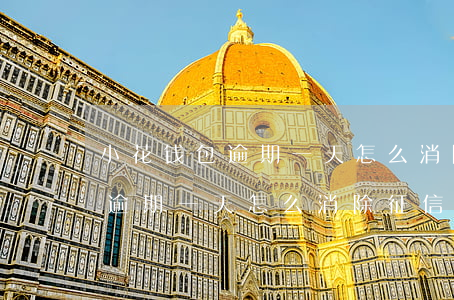 小花钱包逾期一天怎么消除征信-小花钱包逾期一天怎么消除征信记录