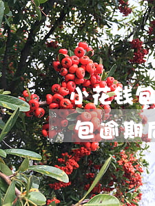 小花钱包逾期后会打电话给家人吗-小花钱包逾期后会打电话给家人吗是真的吗