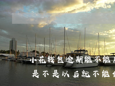 小花钱包逾期能不能用(小花钱包逾期过一次是不是以后就不能借款了)