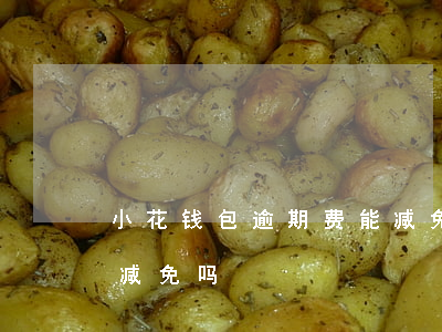 小花钱包逾期费能减免吗(小花钱包逾期费能减免吗)