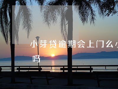 小芽贷逾期会上门么(小芽贷逾期一天上征信吗)