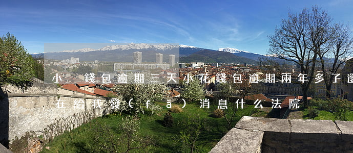 小蔥錢包逾期三天(小花錢包逾期兩年多了還在給我發(fā)消息什么法院)