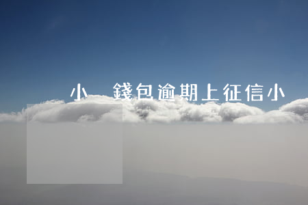 小蔥錢包逾期上征信(小蔥錢包查征信嗎)