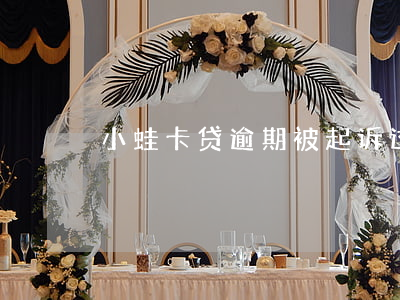 小蛙卡贷逾期被起诉过嘛(小蛙卡贷不用还了)