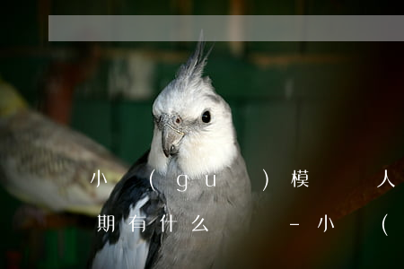 小規(guī)模納稅人報(bào)稅逾期有什么處罰-小規(guī)模納稅人報(bào)稅逾期有什么處罰嗎