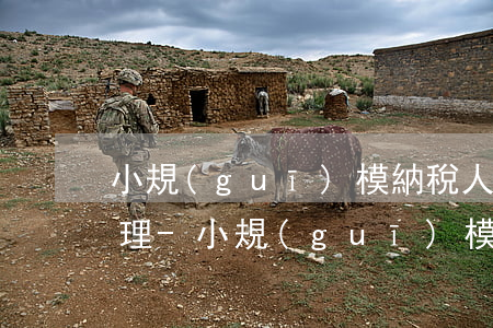 小規(guī)模納稅人所得稅逾期怎么處理-小規(guī)模納稅人所得稅逾期怎么處理的