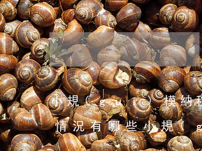 小規(guī)模納稅人稅率是多少適用的情況有哪些（小規(guī)模納稅人稅率適用的情況有哪些）