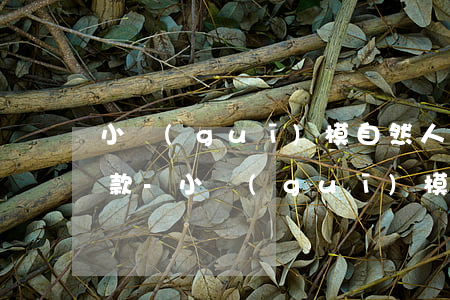 小規(guī)模自然人扣繳逾期多久不罰款-小規(guī)模自然人扣繳逾期多久不罰款了