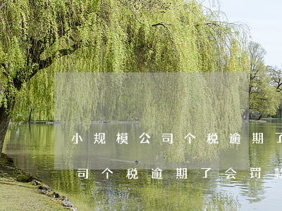 小规模公司个税逾期了会罚款吗-小规模公司个税逾期了会罚款吗怎么处理