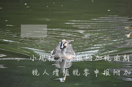 小规模零申报附加税逾期怎么办-小规模纳税人增值税零申报,附加税还申报吗