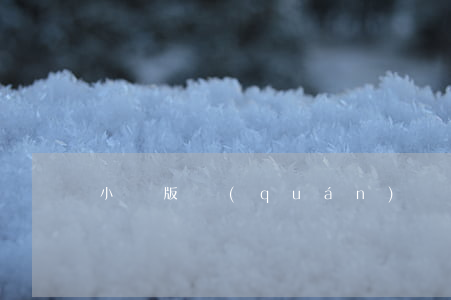 小說版權(quán)糾紛如何處理