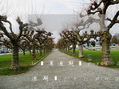 小諸葛逾期項(xiàng)目還款(小諸葛逾期項(xiàng)目還款)