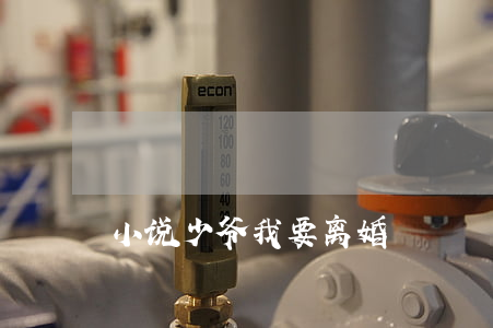 小说少爷我要离婚