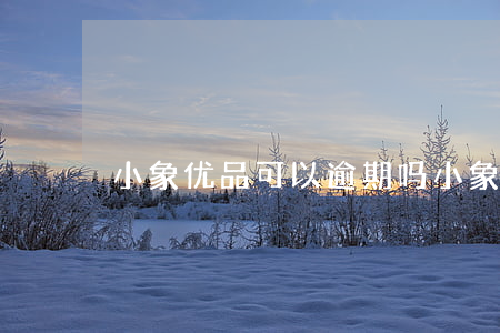 小象优品可以逾期吗 小象优品能延期还款吗