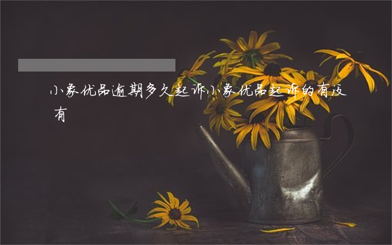 小象优品逾期多久起诉(小象优品起诉的有没有)