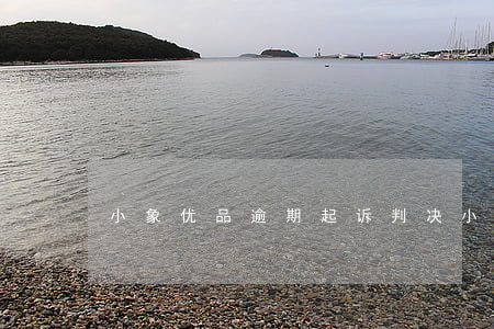 小象优品逾期起诉判决(小象优品法诉处理)