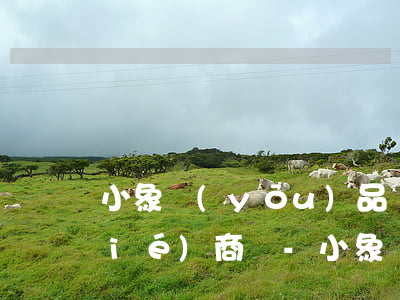 小象優(yōu)品購物分期逾期能協(xié)商嗎-小象優(yōu)品購物分期逾期能協(xié)商嗎