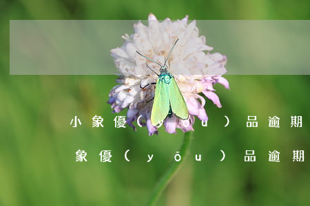 小象優(yōu)品逾期三個(gè)月 小象優(yōu)品逾期三個(gè)月