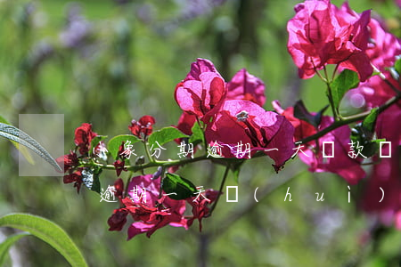 小象分期逾期一天還款還能借嗎-小象分期逾期一天會(huì)上征信嗎