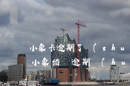 小象卡逾期了說(shuō)什么起訴訟-小象借貸逾期會(huì)怎么樣