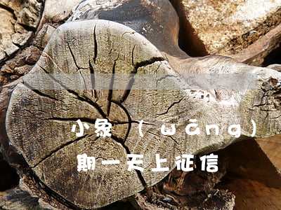 小象網(wǎng)貸逾期了怎么辦(小象逾期一天上征信嗎)