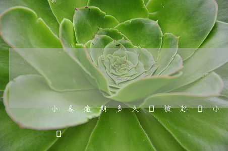 小象逾期多久會被起訴(小象逾期多久會被起訴)