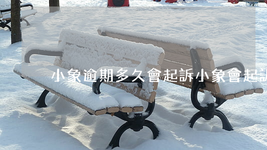 小象逾期多久會起訴(小象會起訴嗎)