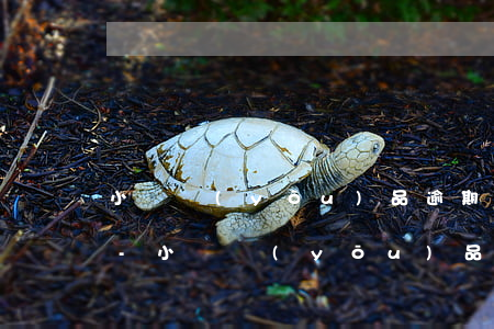 小豬優(yōu)品逾期多久打通訊錄電話-小豬優(yōu)品貸款