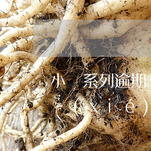 小豬系列逾期協(xié)商(小豬系列逾期協(xié)商)