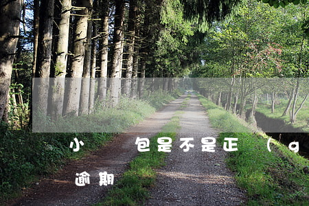 小豬錢包是不是正規(guī)的（小豬錢包逾期）
